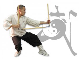 sifu_pose1
